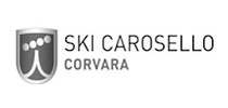 Ski Carosello